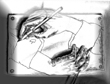 Hands