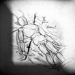 Fallen