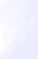 MotionGraphics